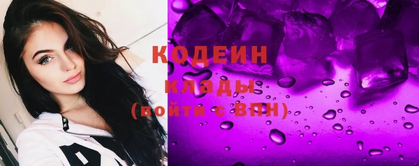 прущие грибы Аркадак