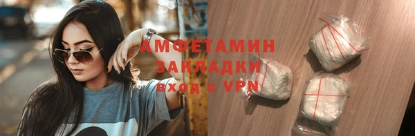 прущие грибы Аркадак