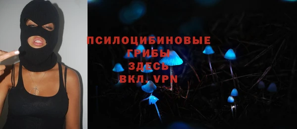 прущие грибы Аркадак