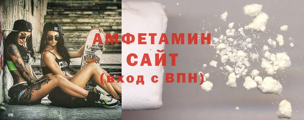 прущие грибы Аркадак