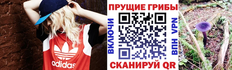 Галлюциногенные грибы GOLDEN TEACHER купить наркоту Лесосибирск